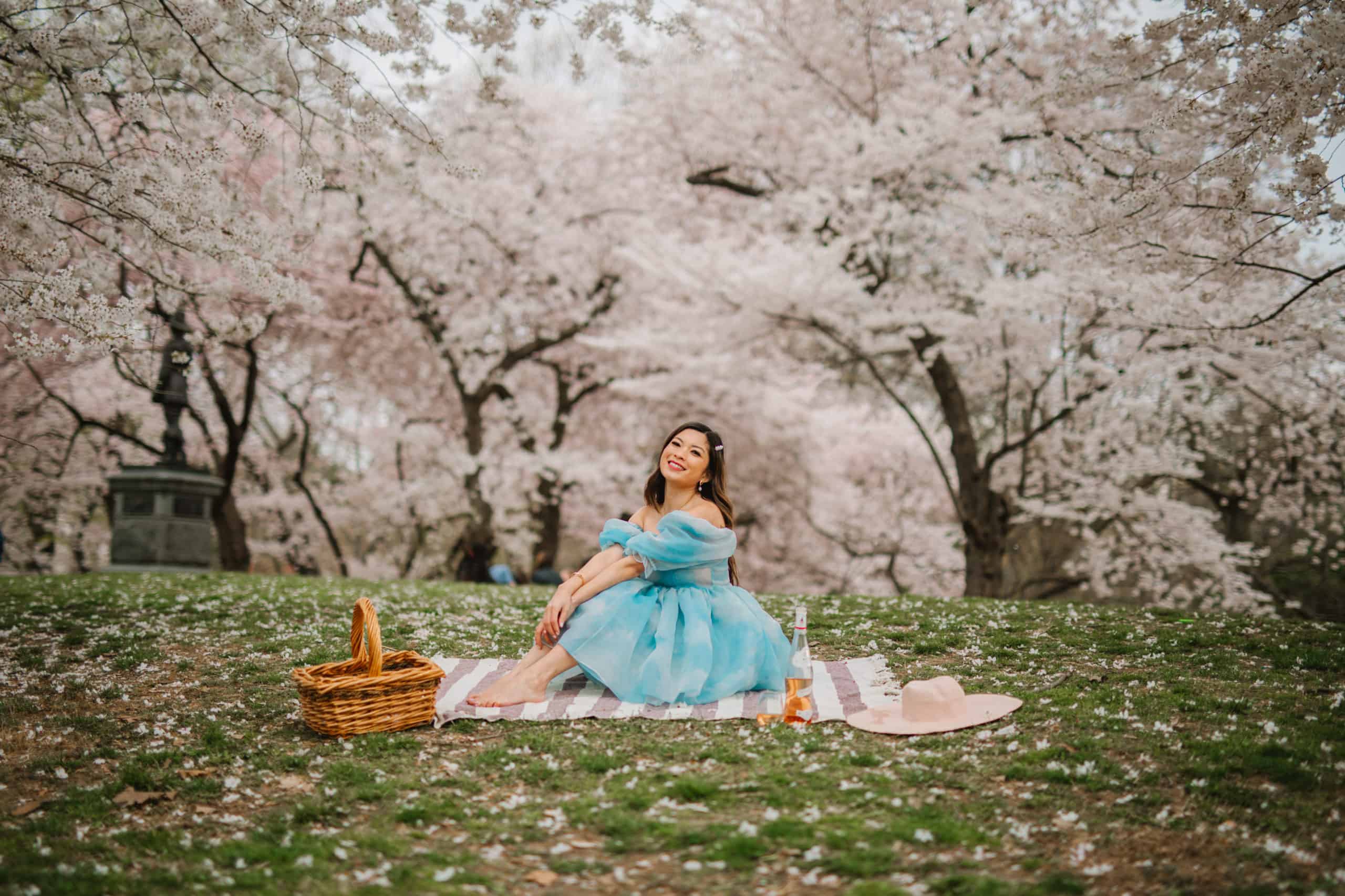 Cherry Blossom Installation In NYC — Zuma Restaurant Cherry Blossoms